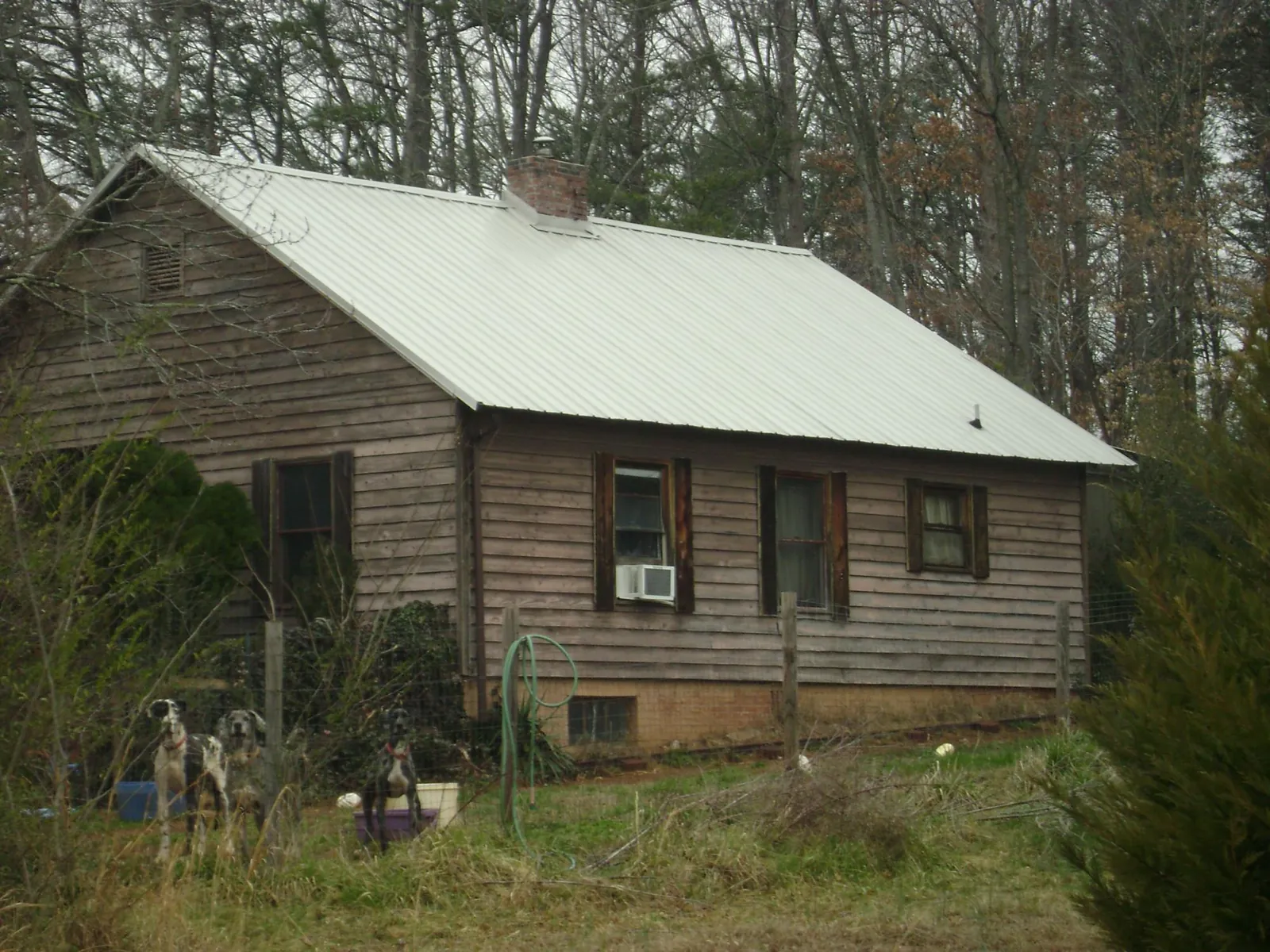 White metal roof on an old wood sided farmhouse, from a Asphalt Shingle Roof Repair job in Kings Bay
